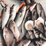 METRO Fish and Seafood Procurement Policy
